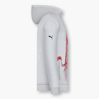 Red Bull Racing мъжки суитшърт с качулка Dynamic Bull II grey F1 team 2024