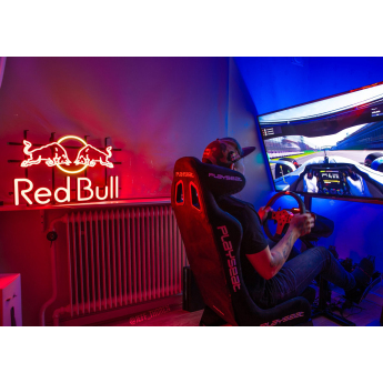 Red Bull Racing мъжка тениска SIM navy F1 Team 2024