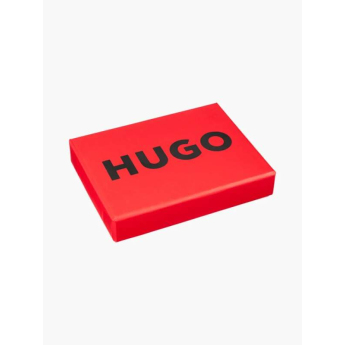 Visa Cash App RB кутия за карти Hugo black F1 team 2024