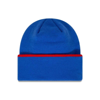 Visa Cash App RB зимна шапка official blue F1 Team 2024