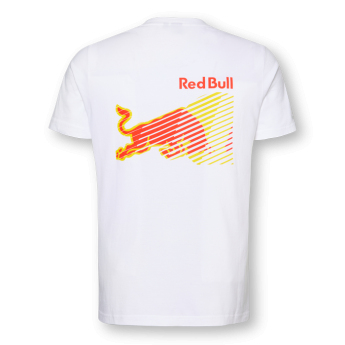 Red Bull Racing мъжка тениска Hummel white F1 Team 2024