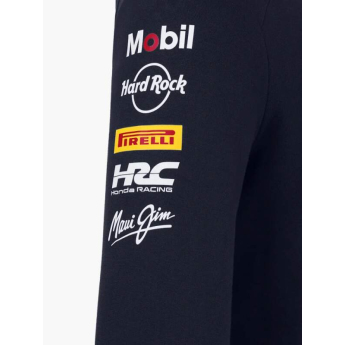 Red Bull Racing мъжки суитшърт с качулка official Teamline Replica zip navy F1 Team 2025
