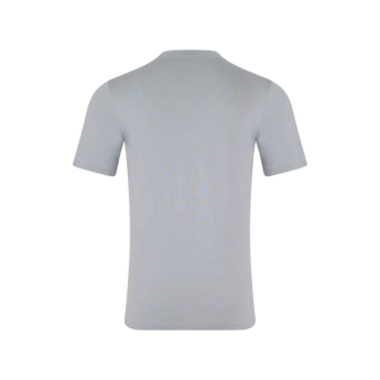 Red Bull Racing мъжка тениска Core logo grey F1 Team 2025