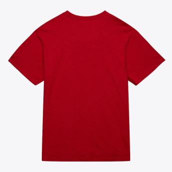 Detroit Red Wings мъжка тениска NHL Legendary Slub Ss