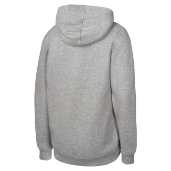 Florida Panthers детски суитшърт с качулка 2025 Stanley Cup Champions Locker Room gray