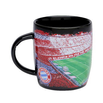 FC Bayern Munich халба Arena