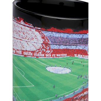 FC Bayern Munich халба Arena