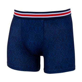 Paris Saint Germain детски боксерки Stripe blue