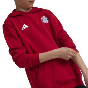 FC Bayern Munich детски суитшърт с качулка Hoody red