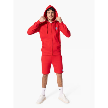 FC Bayern Munich мъжки суитшърт с качулка Hooded Zip red