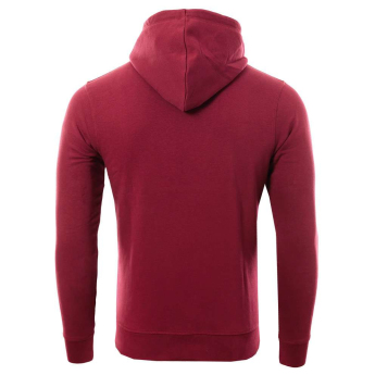 Bayer 04 Leverkusen мъжки суитшърт с качулка Logo burgundy