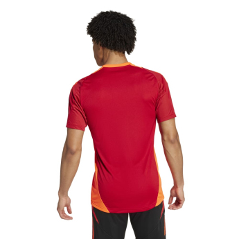 FC Bayern Munich мъжка тренировъчна фланелка tepore