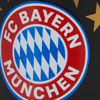 FC Bayern Munich халба 5 stars black