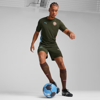 Manchester City мъжка тренировъчна фланелка myrtle