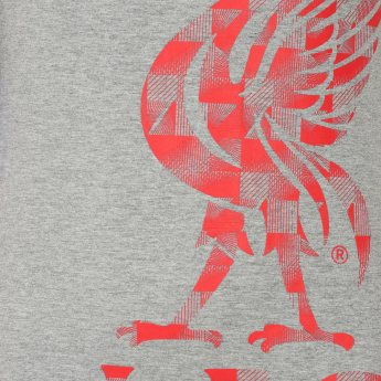Liverpool FC мъжка тениска Graphic grey