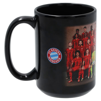 FC Bayern Munich халба Team 2024/25