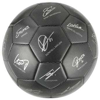 Borussia Dortmund футболна топка 24/25 with signatures