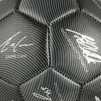 Borussia Dortmund футболна топка 24/25 with signatures