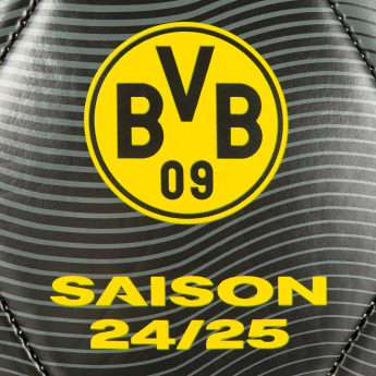 Borussia Dortmund футболна топка 24/25 with signatures