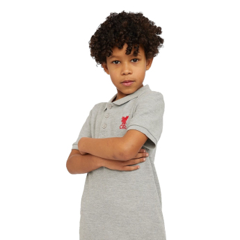 Liverpool FC детска поло блуза grey
