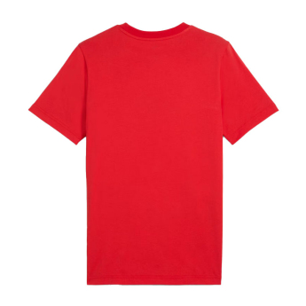 AC Milan мъжка тениска ftblNRGY red