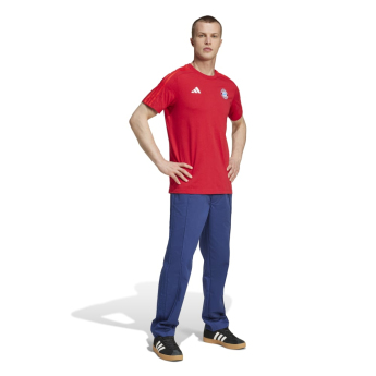 FC Bayern Munich мъжка тениска DNA Tee red