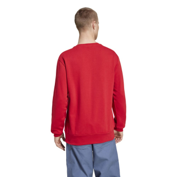 FC Bayern Munich мъжки суитшърт DNA Sweat red