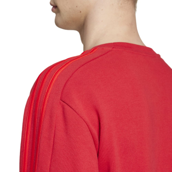 FC Bayern Munich мъжки суитшърт DNA Sweat red