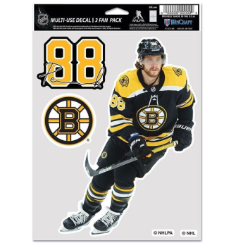 Boston Bruins стикери David Pastrnak #88 Color Decal