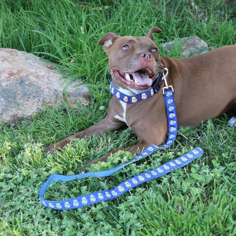 Real Madrid CF каишка Medium