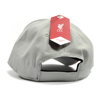 Liverpool FC баскетболна шапка с козирка Mass Two Tone grey