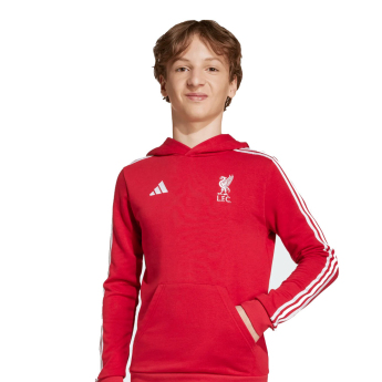 Liverpool FC детски суитшърт с качулка Hoody red