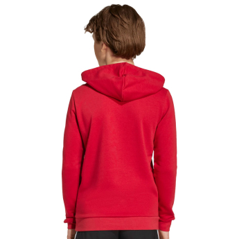 Liverpool FC детски суитшърт с качулка Hoody red