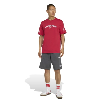 Liverpool FC мъжки къси панталони US grey