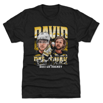 Boston Bruins детска тениска David Pastrnak #88 Vintage WHT 500 Level