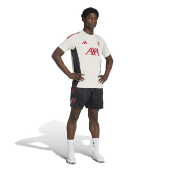 Liverpool FC мъжки шорти Tiro Training