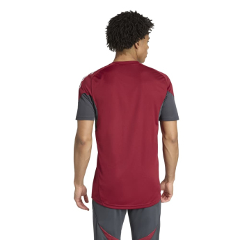 Arsenal FC мъжка тренировъчна фланелка EU claret