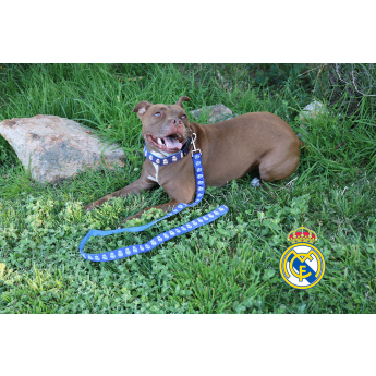 Real Madrid CF каишка Large