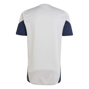 Arsenal FC мъжка тренировъчна фланелка grey