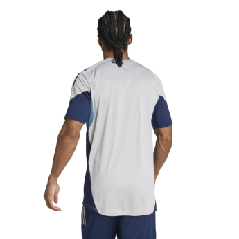 Arsenal FC мъжка тренировъчна фланелка grey