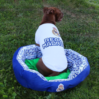 Real Madrid CF легло за куче Large