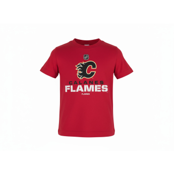 Calgary Flames детска тениска NHL Clean Cut red
