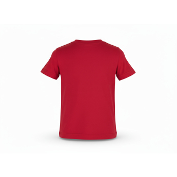 Calgary Flames детска тениска NHL Clean Cut red