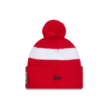 Detroit Red Wings зимна шапка New Era Cold Winter