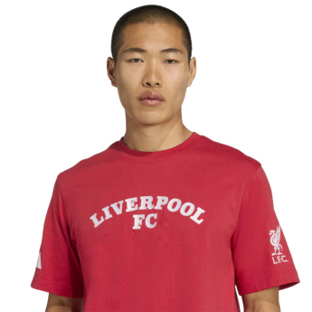 Liverpool FC мъжка тениска US Pack red
