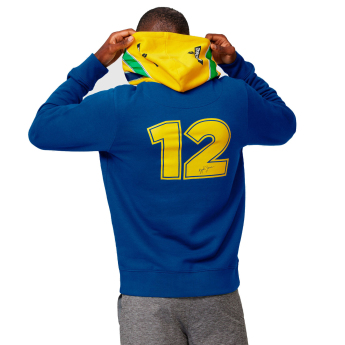 Ayrton Senna мъжки суитшърт с качулка Stripe navy 2021