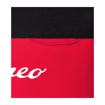 Alfa Romeo Racing детска тениска official black F1 Team 2023