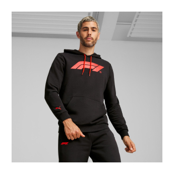 Formula 1 мъжки суитшърт с качулка Logo black 2024