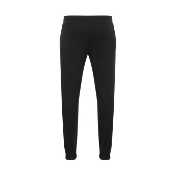 Formula 1 мъжки спортен панталон Logo Black 2024