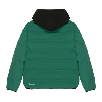 Aston Martin мъжко яке с качулка Puffy Alonso green F1 Team 2025